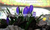 美行思远&奕肆公益