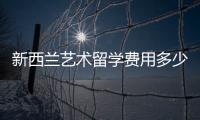 新西兰艺术留学费用多少？