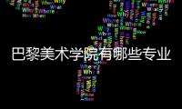 巴黎美术学院有哪些专业可选？