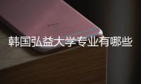韩国弘益大学专业有哪些？