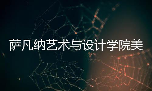 萨凡纳艺术与设计学院美国排名详情