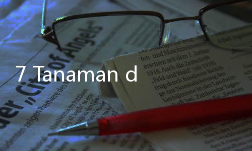 7 Tanaman dengan Manfaat Kesehatan, Cocok Ditanam di Rumah