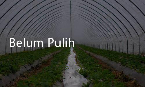 Belum Pulih Usai Kebakaran, Museum Nasional Ditutup Sampai Akhir Tahun