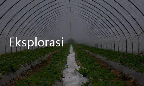 Eksplorasi Taman dan Waktu dalam Tema Met Gala Tahun Ini