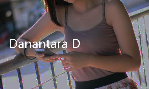 Danantara Dukung Pengembangan Kawasan Industri Hijau RI