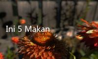 Ini 5 Makanan yang Bisa Bikin Kamu Pikun, Sering Dilahap Sehari