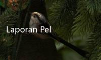 Laporan Pelanggaran Pemilu dari Masyarakat Ternyata Lebih Banyak dari Temuan Bawaslu