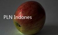 PLN Indonesia Power Siap Genjot Utilisasi Panas Bumi dalam RUPTL 2025–2034