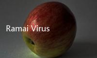Ramai Virus HMPV, Amankah Bepergian ke China saat Ini?