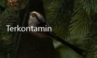 Terkontaminasi Salmonella, 500 Kuintal Produk Makanan Kucing Ditarik