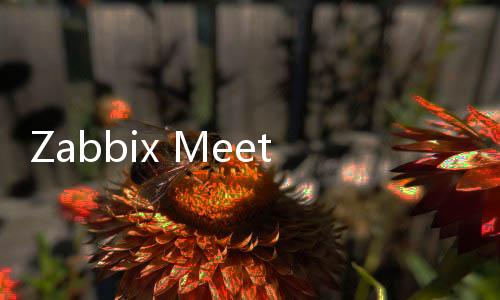 Zabbix Meeting Jakarta 2024, Kesempatan Gratis untuk Kembangkan Bisnis